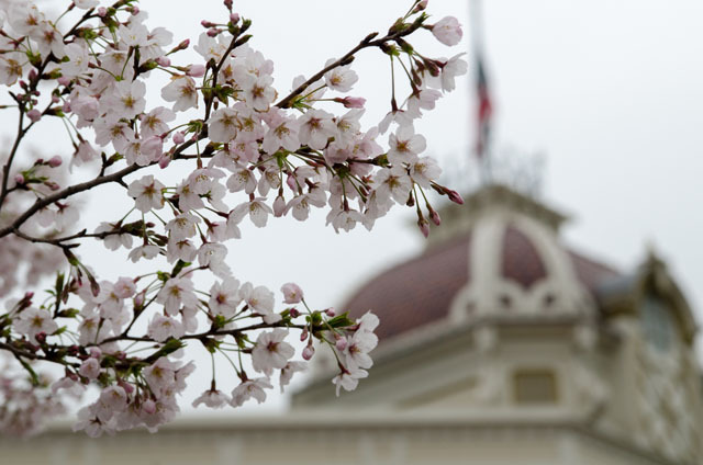 東京ディズニーランド「ディズニー・イースター2015」