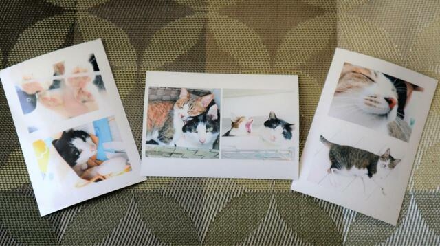 【セブン‐イレブン 写真プリント】5分ほどで3枚の分割写真をプリント