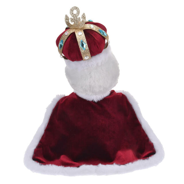 ドナルド ぬいぐるみ DONALD THE KING BIRTHDAY 5,800円