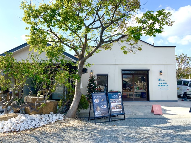 海を一望しながらランチが味わえる「アマミテラス」