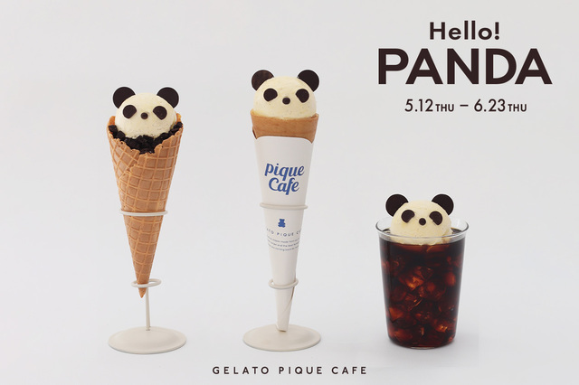 Hello！PANDA