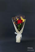 Disney Collection　美女と野獣　RED ROSE