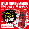 WILD MONTE ENERGY（ワイルドモンテエナジー）