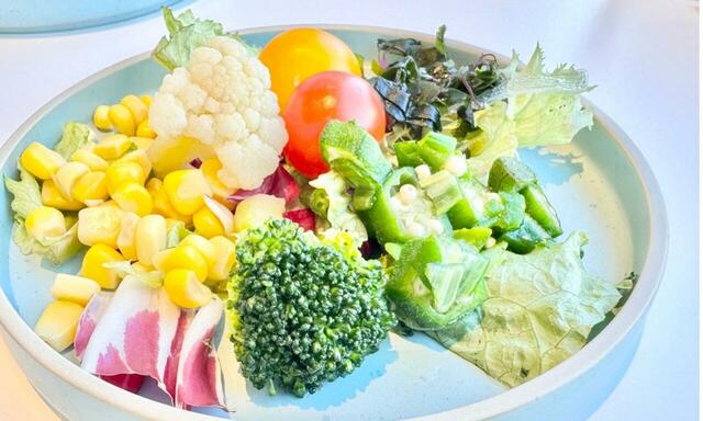 【レストラン グランサンク　サラダバー】サラダにオクラが斬新でした