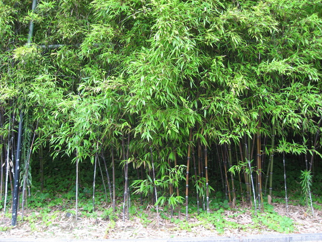 江原道・江陵の史跡『烏竹軒』　写真提供：韓国観光公社、江原道、江陵市