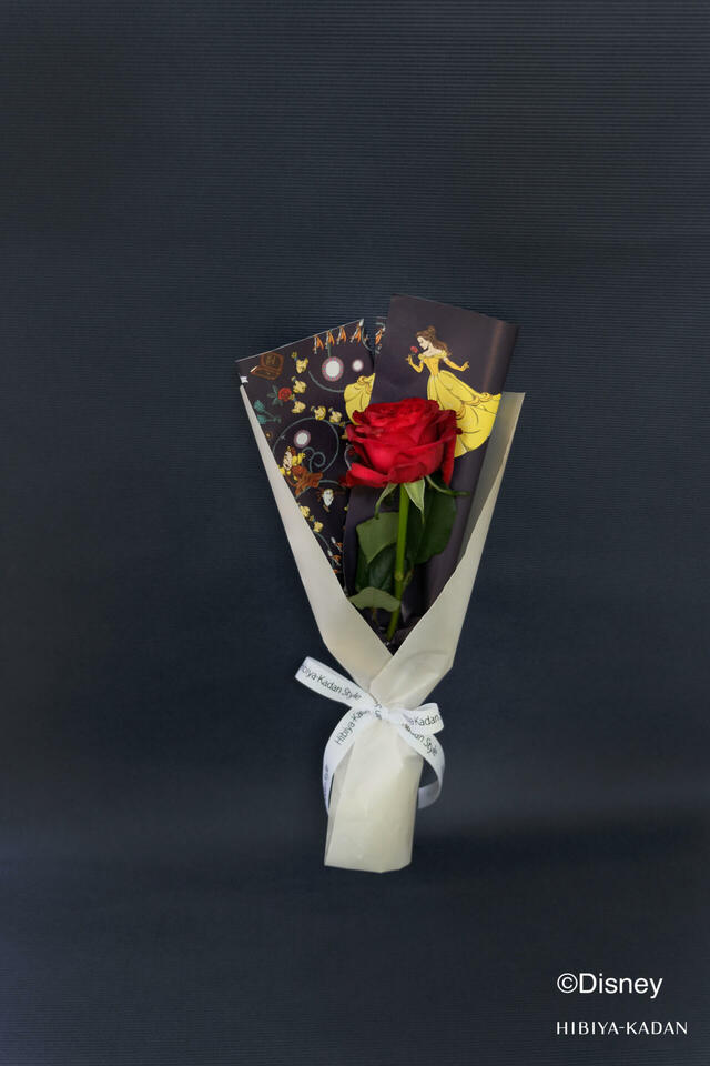 Disney Collection　美女と野獣　RED ROSE