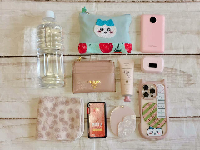 今回収納したのはこちら!