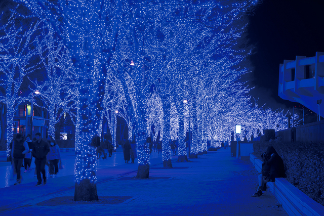 青の洞窟 SHIBUYA