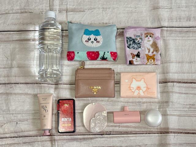 これだけのものが収納可能!