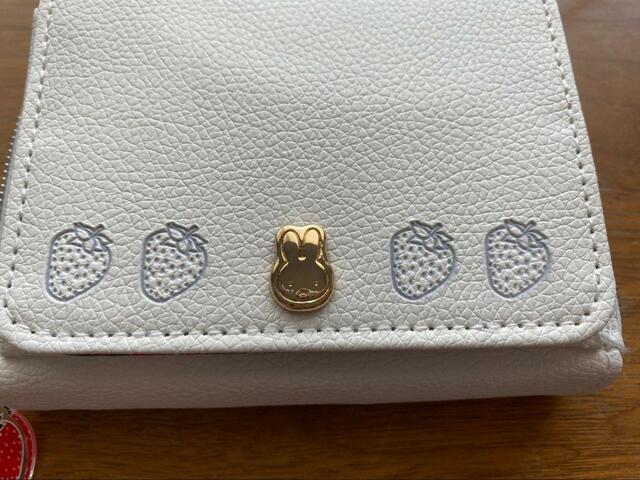 【宝島社　miffy カードが見やすい じゃばら式ミニ財布 BOOK WHITE】小銭は裏面のポケットで別収納