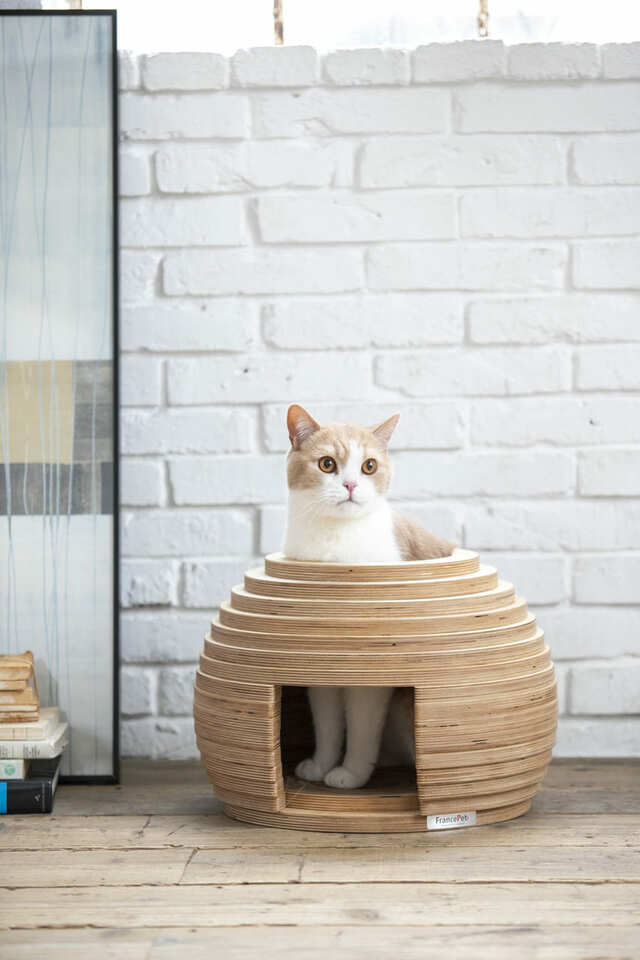 【フランスペット】「ねこハウス まり」