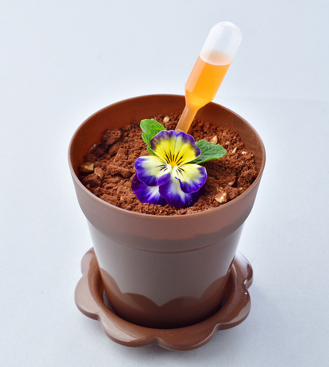 フラワーミッフィー お花ぽっとティラミス