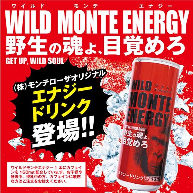 WILD MONTE ENERGY（ワイルドモンテエナジー）