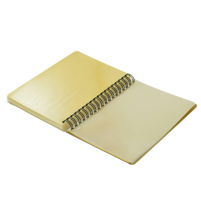 【デルフォニックス】ドナルド＆フレンズ Rollbahn Diary L 手帳・スケジュール帳 CALENDAR＆ORGANIZER 2026 2,400円