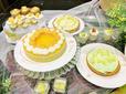 「赤肉メロンのレアチーズケーキ」や「メロンモンブラン」。
