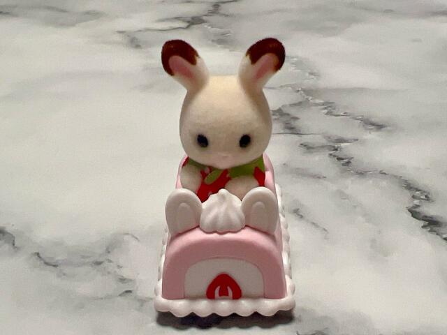 車に乗せてみました。かわいすぎる…！