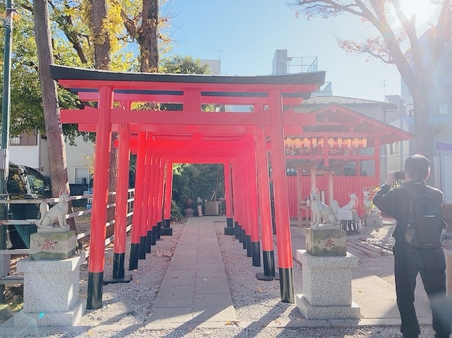 【蛇窪神社（へびくぼじんじゃ）】何個も重なった朱色の鳥居、金色の鳥居など、写真的にも映えるスポットが多かったです