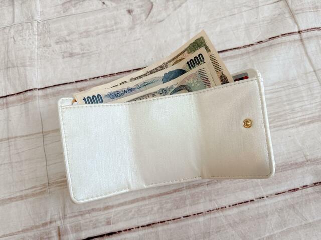 紙幣を折らずに入れられるのがうれしいポイント！