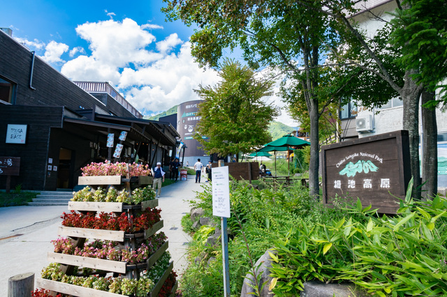 栂池高原ロータリー付近。ここからゴンドラリフト「イヴ」に乗車