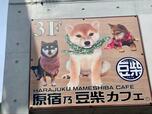 【原宿乃豆柴カフェ】原宿駅から徒歩3分でアクセス◎