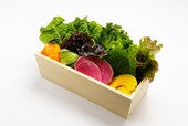 10種類の新鮮包む野菜も食べ放題