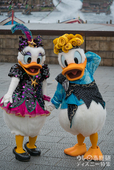 デイジーとドナルド｜ザ・ヴィランズ・ワールド｜東京ディズニーシー「ディズニー・ハロウィーン」2018年