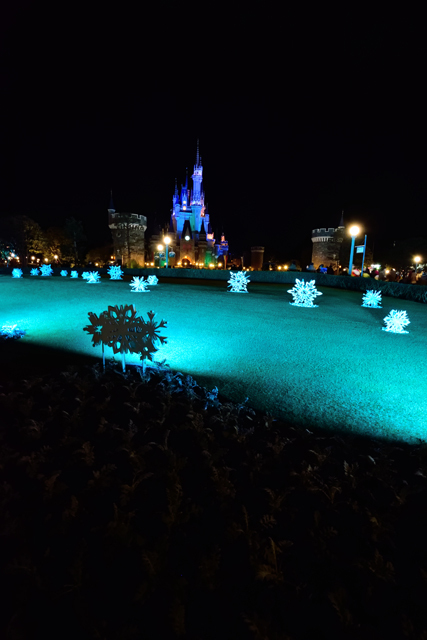 ショーやパレードなどが終わって人が少ないときだとじっくり見ることができます ©Disney