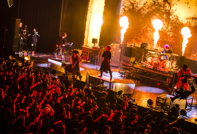 アルルカン　（撮影・アナスタシア）