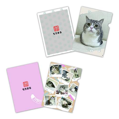 クリアファイル2枚セット