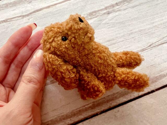 トイプードルらしいもふもふくるくるの毛並みが愛らしい♪