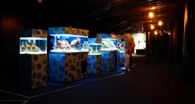 交流プラザのサンゴ礁の生き物たち