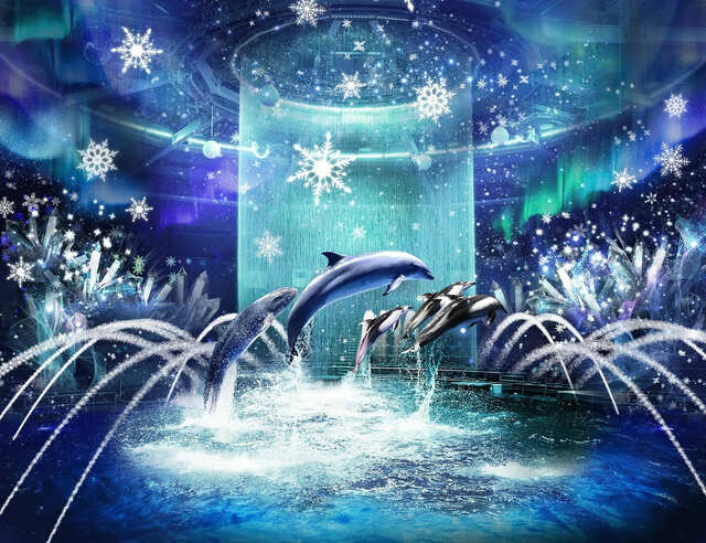 ドルフィンパフォーマンス　ナイトver.「BRIGHT CRYSTAL(ブライトクリスタル)」