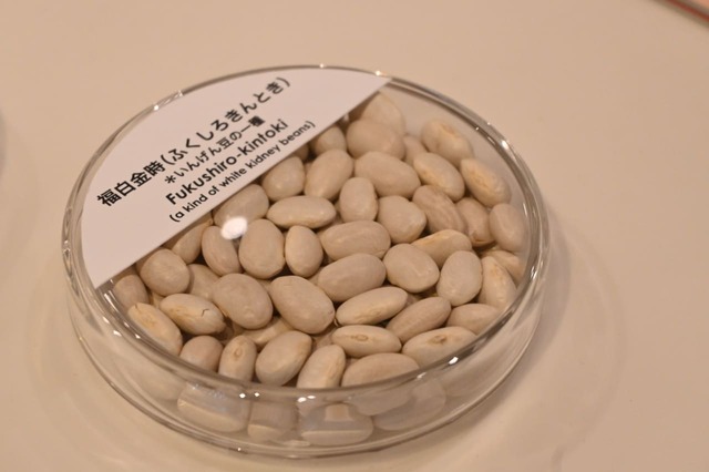 【とらや特別展】いんげん豆の一種「福白金時」
