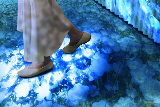 【BEB5土浦 by 星野リゾート】本物のネモフィラの花畑を歩いているかのよう