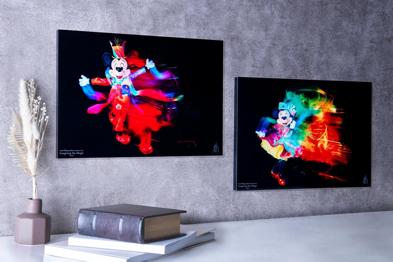 アートパネル 「イマジニング・ザ・マジック」 東京ディズニーリゾート