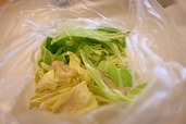 【やみつき塩キャベツの作り方】1.キャベツを手でちぎり、ポリ袋に入れ、鶏ガラスープの素、酢、にんにくを入れて、袋の上から手で揉みなじませる