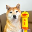 【自動発泡犬用ソープディスペンサ】いつもよりフワフワに仕上がったかも
