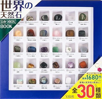 蝶の標本　熱帯の宝石(特珍) 4a66edb20ca11375c7c733885c4e20