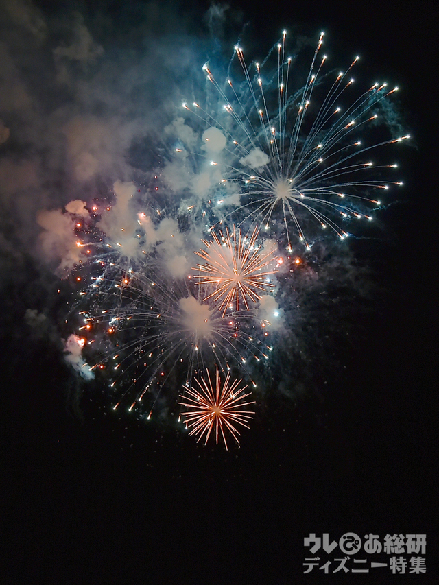 ブランニュードリーム｜東京ディズニーリゾート35周年“Happiest Celebration! ”