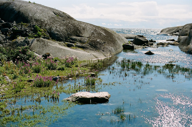 CAMERA:Nikon new fm2 / フィンランドの魅力のひとつである群島（アーキペラーゴ）とても美しい場所で、また夏に行くチャンスがあれば行きたいです。