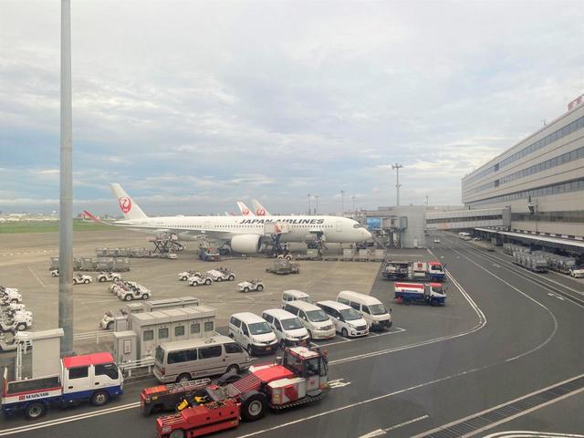 【羽田空港】ロビーから飛行機を眺めているだけでもワクワク♪