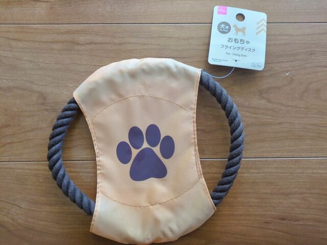 【ダイソー おもちゃ（犬用、フライングディスク）】直径約20cm程度のおもちゃ