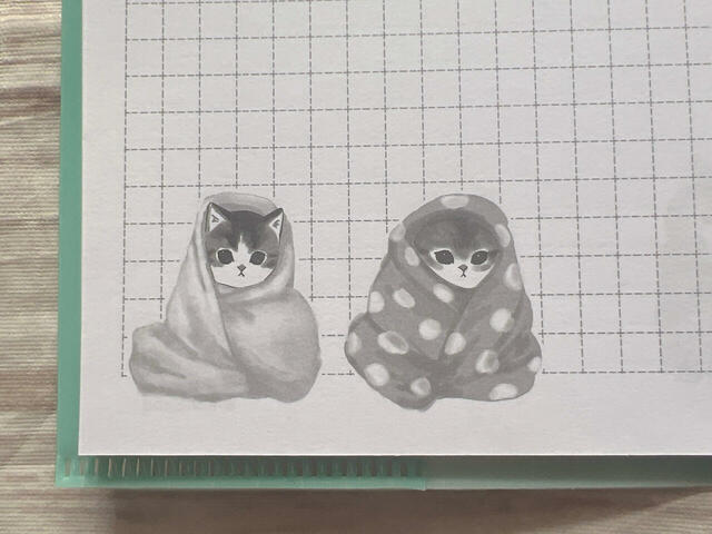 寒そうにブランケットに包まれているにゃんこたちがかわいい…!