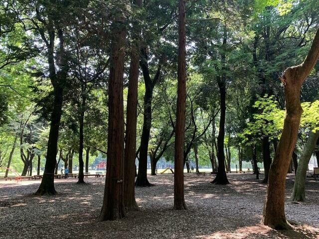 砧公園「親子でアート遠足」より