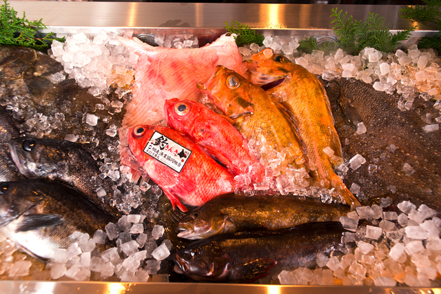 北海道 産直炉端  北の家族有楽町本店