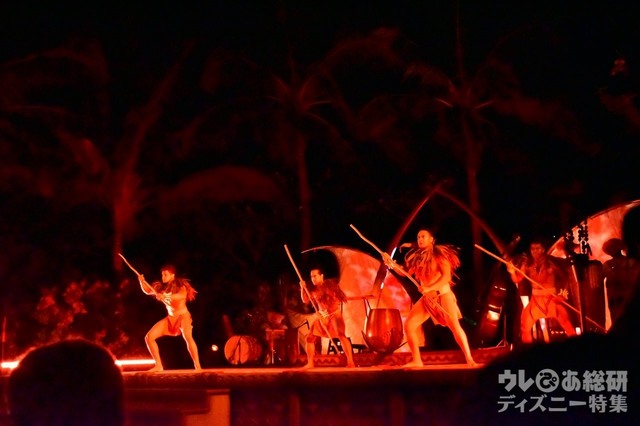 古典フラ1 撮影 / 筆者