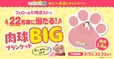 【「ファミリ〜にゃ〜ト大作戦！」】全長1.4m！ねこも入れる「肉球BIGブランケット」が当たる「ねこへ恩返し」キャンペーン