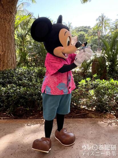 最終値引き⭐︎ レア ⭐︎ アウラニ 仲良い ディズニー ミッキー 