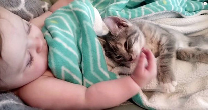 猫】癒し度MAX! 「猫と赤ちゃん」の幸せ動画3選（1/2） - mimot.(ミモット)