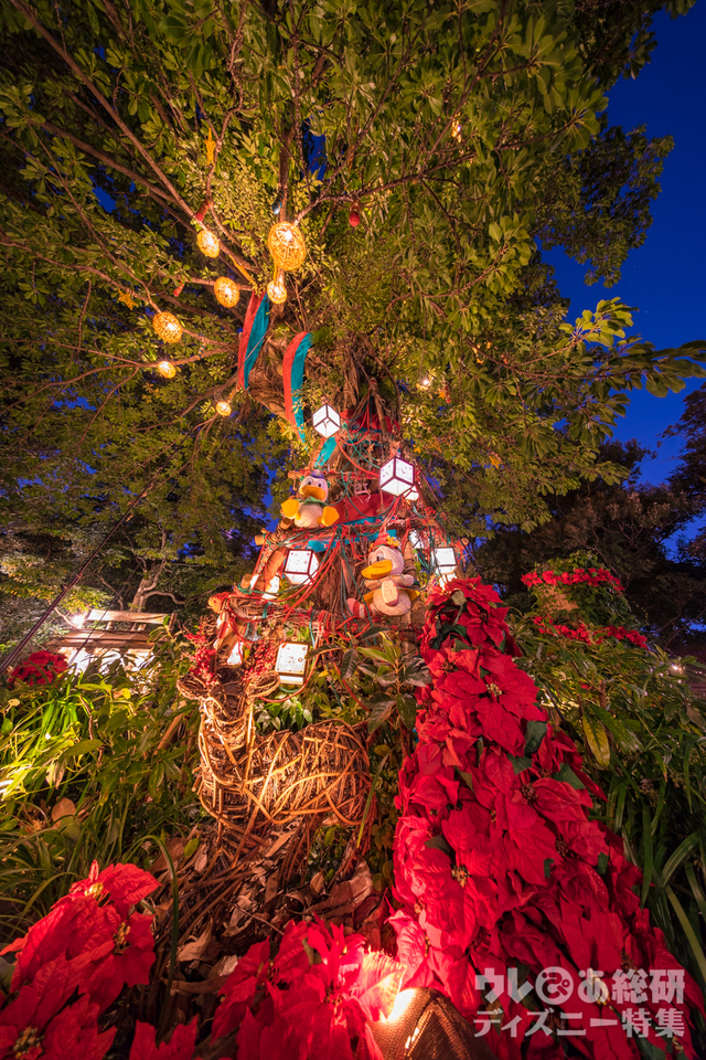 大木のクリスマスツリー